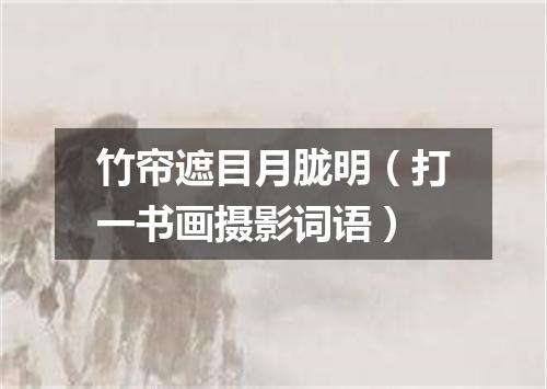 竹帘遮目月胧明（打一书画摄影词语）