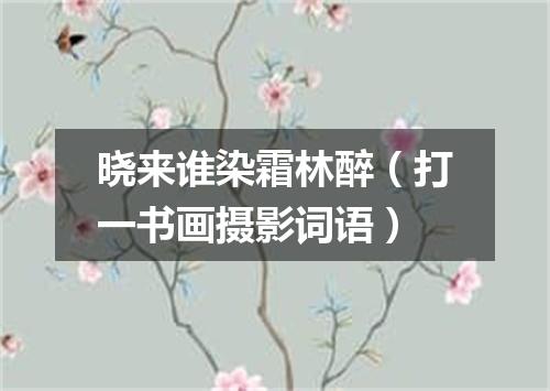 晓来谁染霜林醉（打一书画摄影词语）