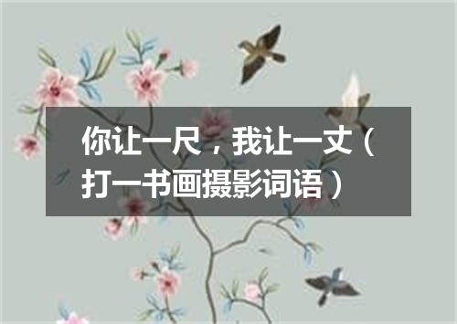 你让一尺，我让一丈（打一书画摄影词语）