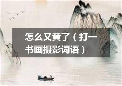 怎么又黄了（打一书画摄影词语）
