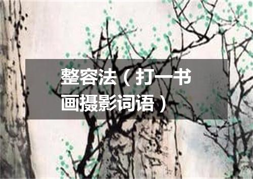 整容法（打一书画摄影词语）