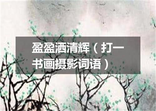 盈盈洒清辉（打一书画摄影词语）
