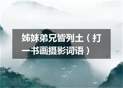 姊妹弟兄皆列土（打一书画摄影词语）