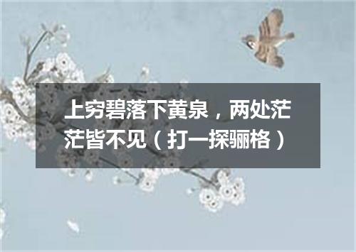 上穷碧落下黄泉，两处茫茫皆不见（打一探骊格）