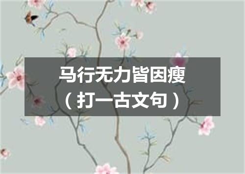 马行无力皆因瘦（打一古文句）