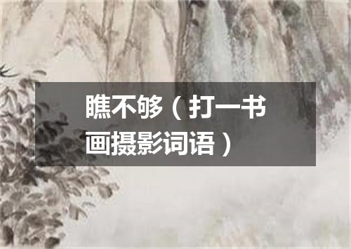 瞧不够（打一书画摄影词语）