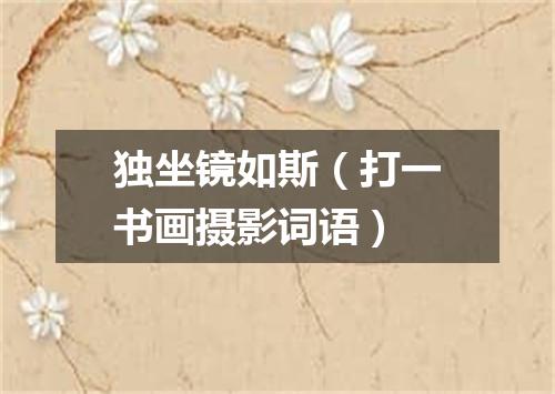 独坐镜如斯（打一书画摄影词语）