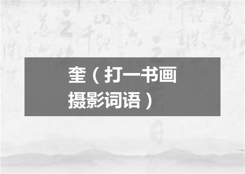 奎（打一书画摄影词语）