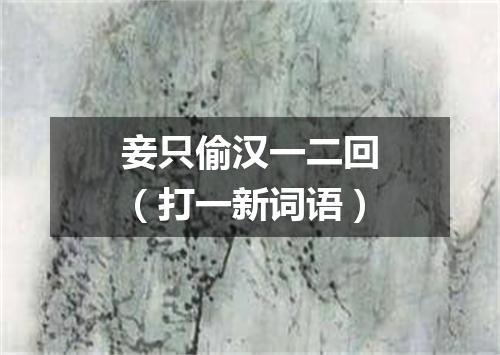 妾只偷汉一二回（打一新词语）
