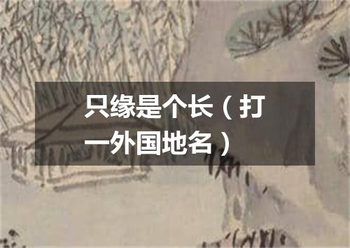 只缘是个长（打一外国地名）