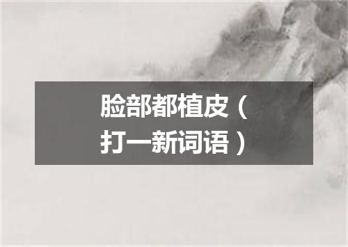 脸部都植皮（打一新词语）