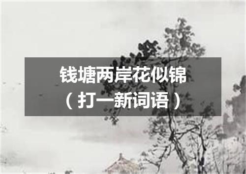 钱塘两岸花似锦（打一新词语）