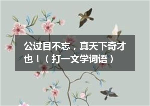 公过目不忘，真天下奇才也！（打一文学词语）