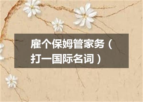 雇个保姆管家务（打一国际名词）