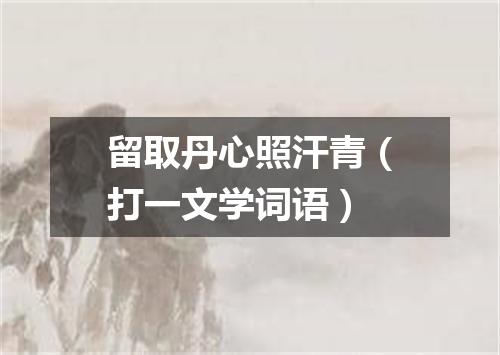 留取丹心照汗青（打一文学词语）