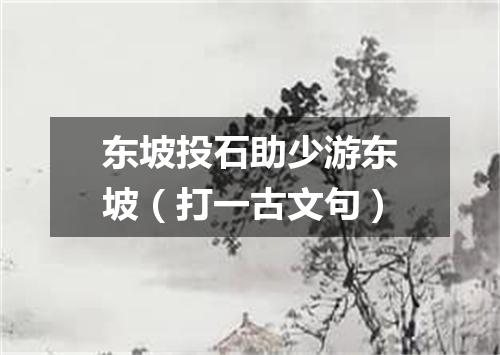 东坡投石助少游东坡（打一古文句）
