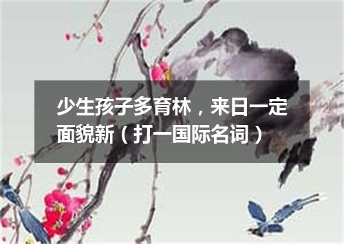 少生孩子多育林，来日一定面貌新（打一国际名词）