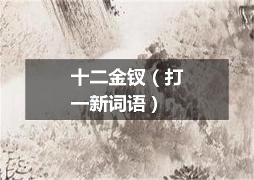 十二金钗（打一新词语）