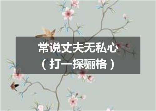 常说丈夫无私心（打一探骊格）