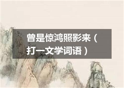曾是惊鸿照影来（打一文学词语）