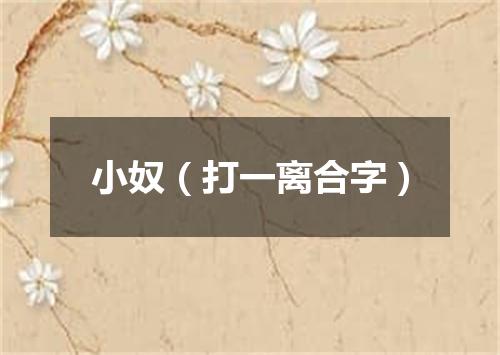 小奴（打一离合字）