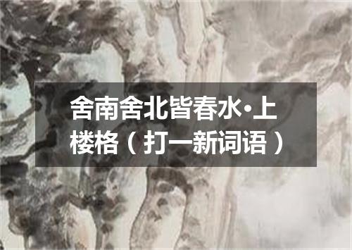 舍南舍北皆春水·上楼格（打一新词语）