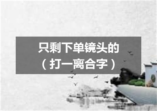 只剩下单镜头的（打一离合字）