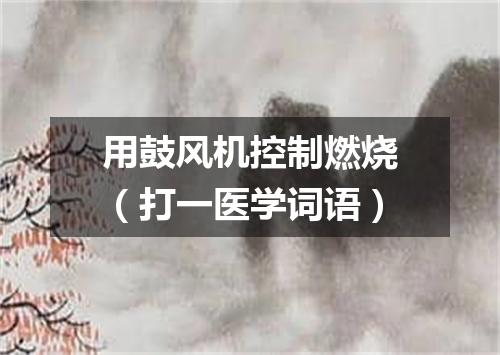 用鼓风机控制燃烧（打一医学词语）