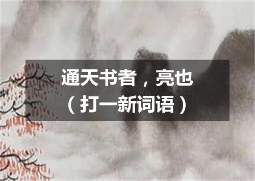 通天书者，亮也（打一新词语）
