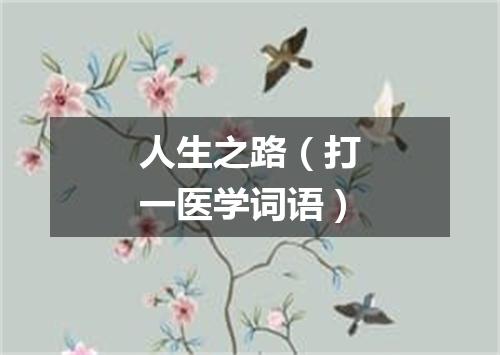 人生之路（打一医学词语）