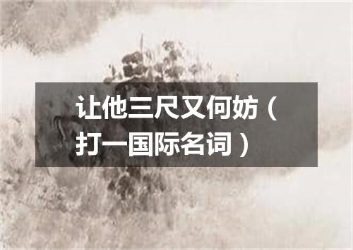 让他三尺又何妨（打一国际名词）