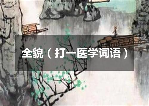 全貌（打一医学词语）