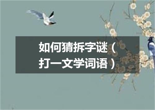 如何猜拆字谜（打一文学词语）