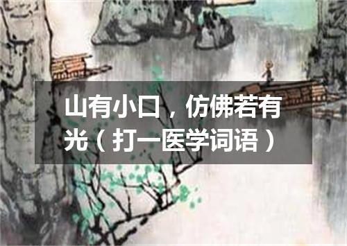 山有小口，仿佛若有光（打一医学词语）