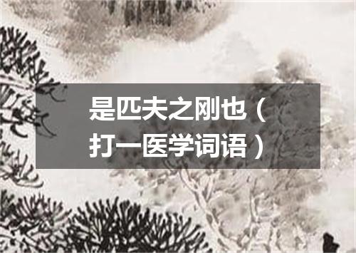 是匹夫之刚也（打一医学词语）