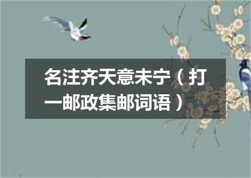 名注齐天意未宁（打一邮政集邮词语）