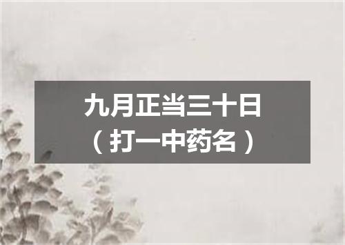 九月正当三十日（打一中药名）