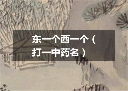 东一个西一个（打一中药名）