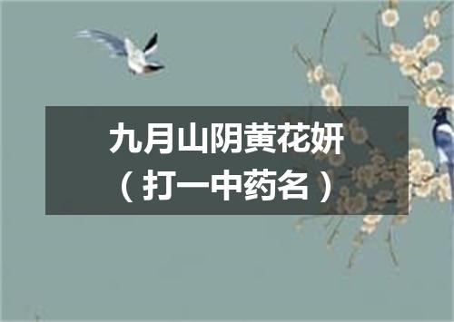 九月山阴黄花妍（打一中药名）