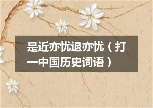 是近亦忧退亦忧（打一中国历史词语）