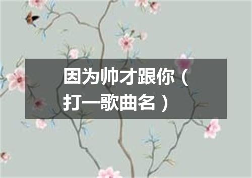 因为帅才跟你（打一歌曲名）