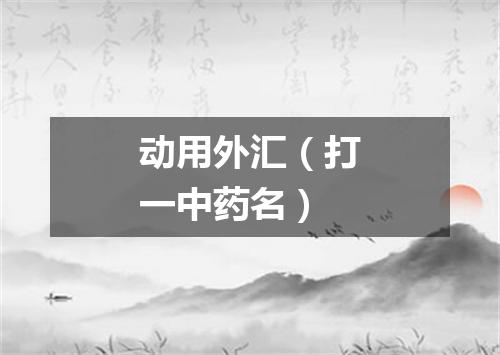动用外汇（打一中药名）