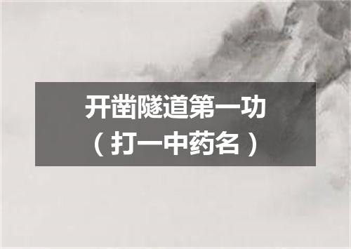 开凿隧道第一功（打一中药名）
