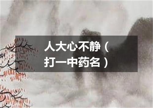 人大心不静（打一中药名）