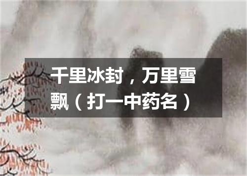 千里冰封，万里雪飘（打一中药名）