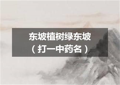 东坡植树绿东坡（打一中药名）