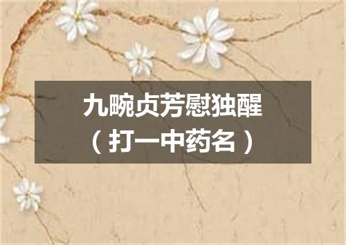 九畹贞芳慰独醒（打一中药名）