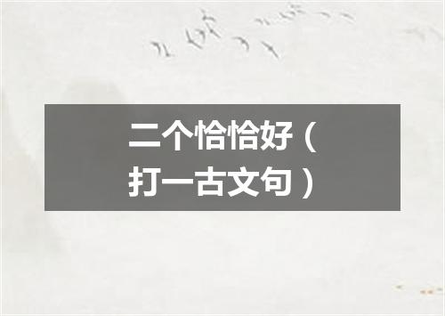 二个恰恰好（打一古文句）