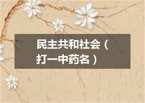 民主共和社会（打一中药名）