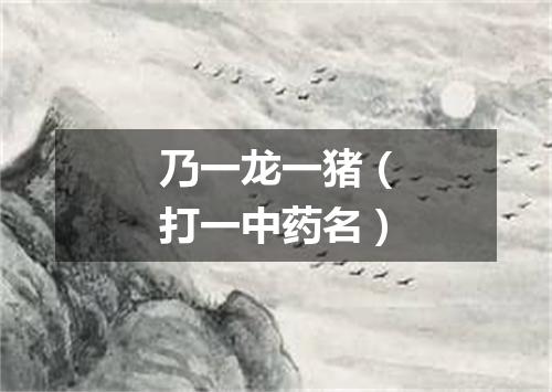 乃一龙一猪（打一中药名）